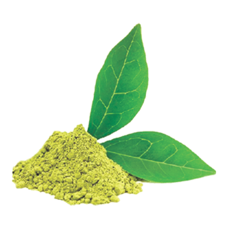 Green Tea Extract